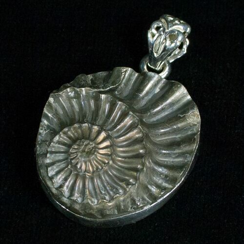 Pyrite Ammonite Pendant - Sterling Silver #5103